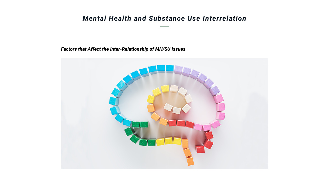 addictions and mental health element example